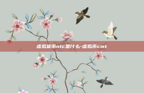 虚拟货币ntc是什么-虚拟币cmt