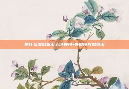 都什么虚拟货币上过央视-央视曝光虚拟币