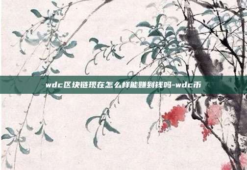 wdc区块链现在怎么样能赚到钱吗-wdc币