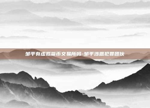 邹平有虚拟货币交易所吗-邹平涉恶犯罪团伙