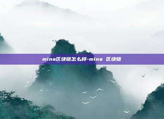 mina区块链怎么样-mina 区块链