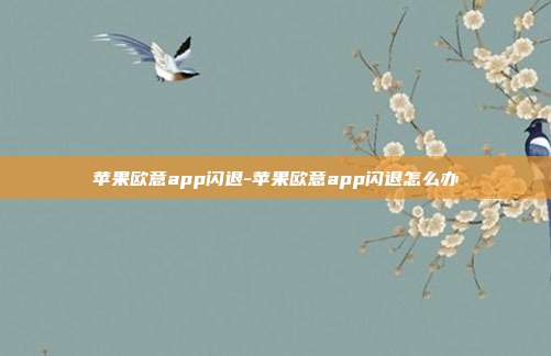 苹果欧意app闪退-苹果欧意app闪退怎么办