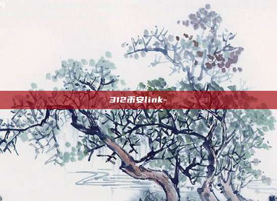 312币安link-