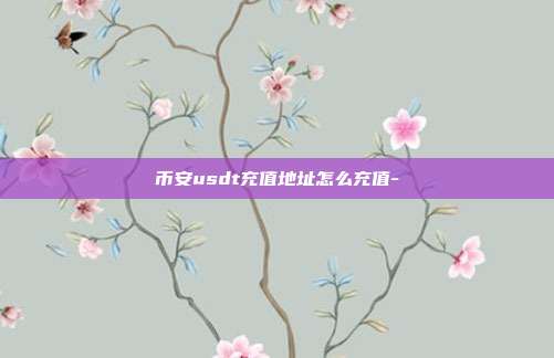 币安usdt充值地址怎么充值-