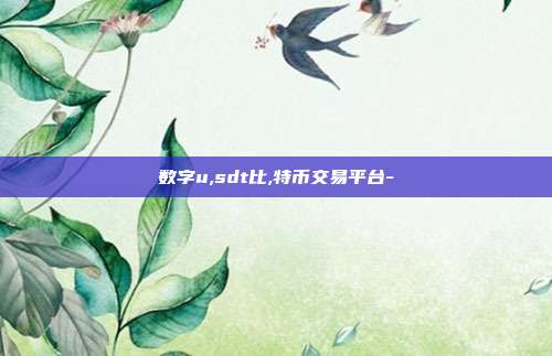 数字u,sdt比,特币交易平台-