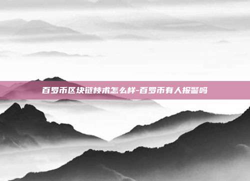 百罗币区块链枝术怎么样-百罗币有人报警吗