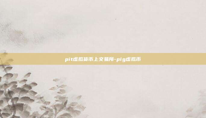 pit虚拟货币上交易所-pig虚拟币