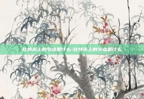 比特币上的节点是什么-比特币上的节点是什么