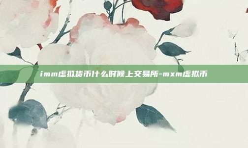 imm虚拟货币什么时候上交易所-mxm虚拟币