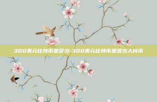 300美元比特币是多少-300美元比特币是多少人民币