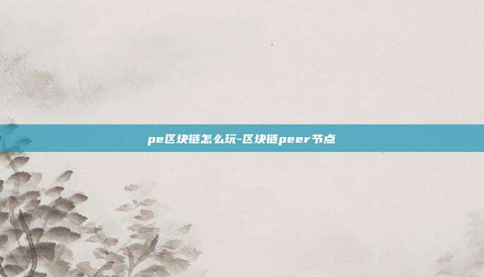 pe区块链怎么玩-区块链peer节点