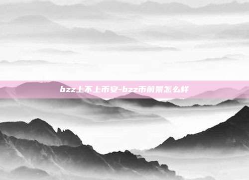 bzz上不上币安-bzz币前景怎么样