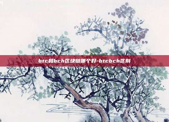 btc和bch区块链哪个好-btcbch区别