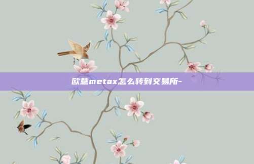 欧意metax怎么转到交易所-