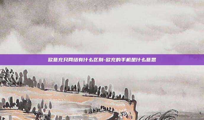 欧意充只网络有什么区别-欧充的手机是什么意思