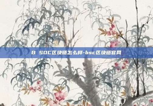 B SOC区块链怎么样-bsc区块链官网