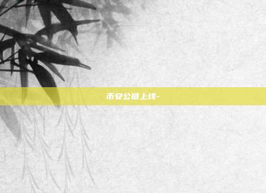 币安公链上线-