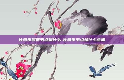 比特币时间节点是什么-比特币节点是什么意思