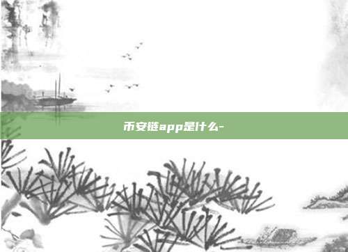 币安链app是什么-