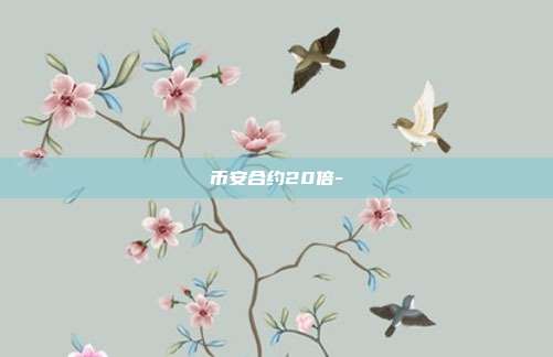 币安合约20倍-