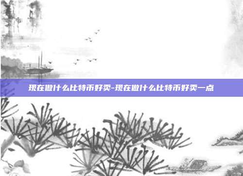 现在做什么比特币好卖-现在做什么比特币好卖一点