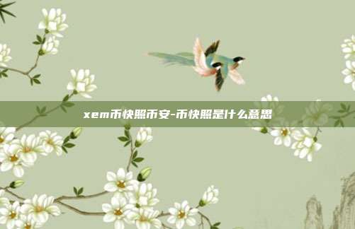 xem币快照币安-币快照是什么意思