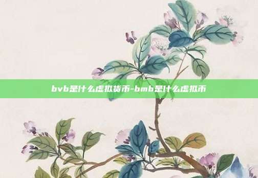 bvb是什么虚拟货币-bmb是什么虚拟币