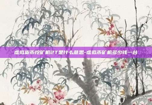 虚拟货币挖矿机2T是什么意思-虚拟币矿机多少钱一台