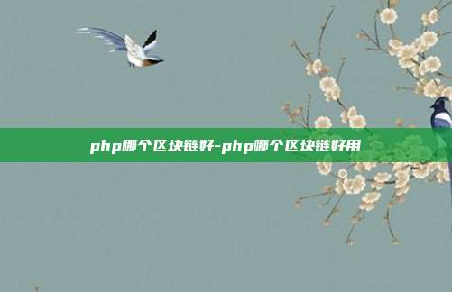 php哪个区块链好-php哪个区块链好用