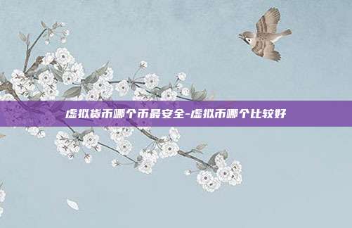 虚拟货币哪个币最安全-虚拟币哪个比较好