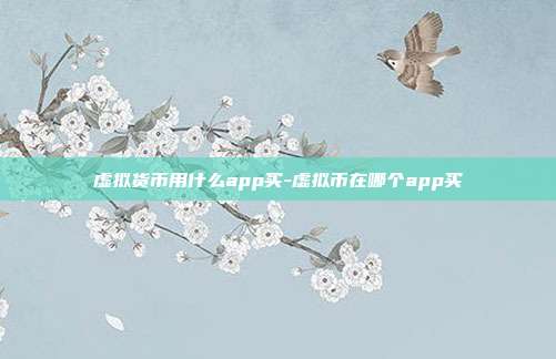 虚拟货币用什么app买-虚拟币在哪个app买