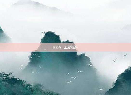 xch 上币安-