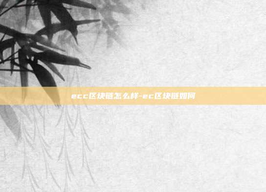 ecc区块链怎么样-ec区块链如何