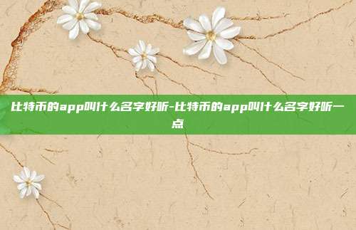 比特币的app叫什么名字好听-比特币的app叫什么名字好听一点