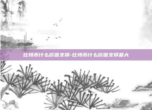 比特币什么价值支撑-比特币什么价值支撑最大