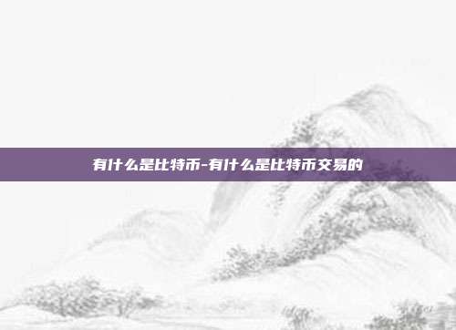 有什么是比特币-有什么是比特币交易的