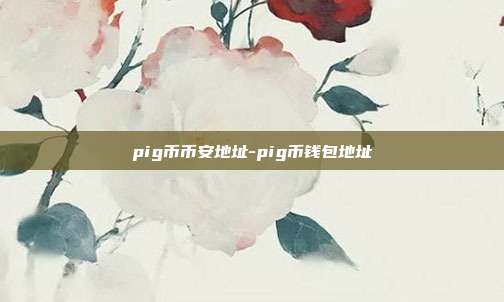 pig币币安地址-pig币钱包地址