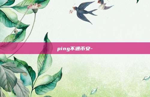 ping不通币安-