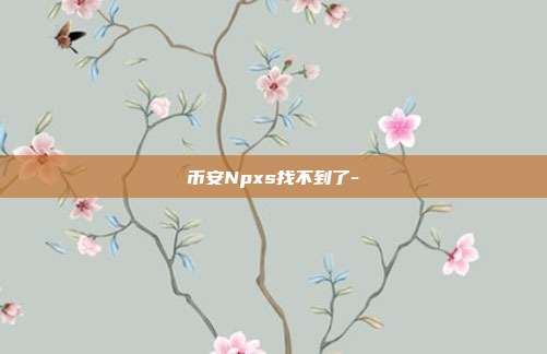 币安Npxs找不到了-