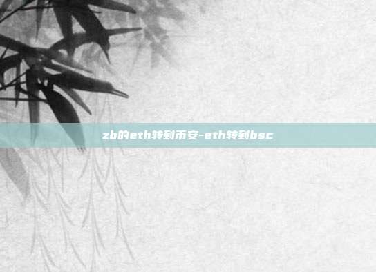 zb的eth转到币安-eth转到bsc