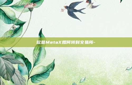 欧意MetaX如何转到交易所-