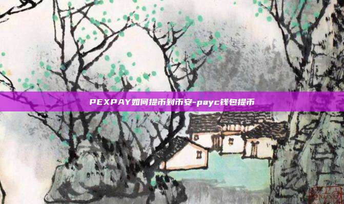 PEXPAY如何提币到币安-payc钱包提币