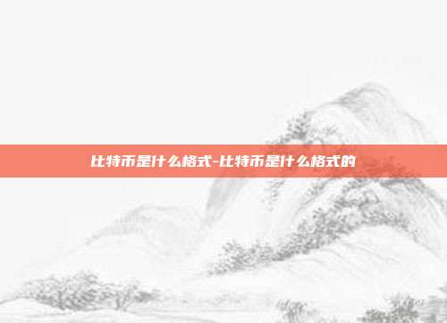 比特币是什么格式-比特币是什么格式的