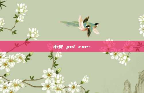 币安 pnl roe-