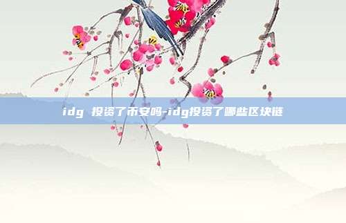 idg 投资了币安吗-idg投资了哪些区块链