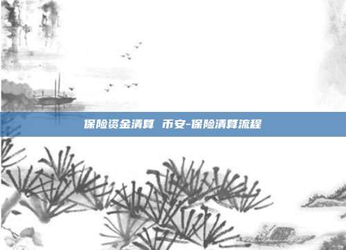 保险资金清算 币安-保险清算流程