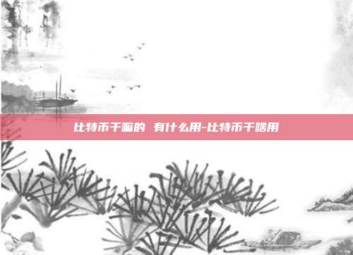 比特币干嘛的 有什么用-比特币干啥用