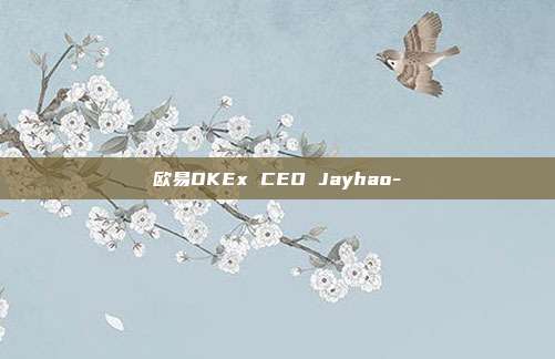 欧易OKEx CEO Jayhao-